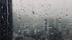 这几天的天气就像过山车
