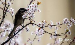 贵阳市7日夜间到8日白天，