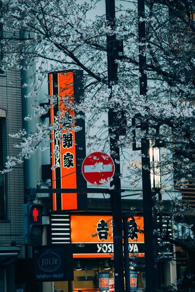 日本最强餐饮店:一碗牛肉饭,卖了120年