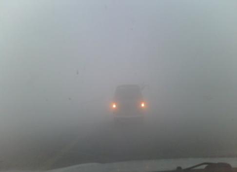 雾天驾车太危险！雾天驾驶技巧、保养常识梳理！朋友圈转疯了！