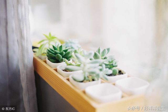 预防疾病小常识有哪些 10个预防疾病的小常识