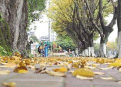 10日转阴天间多云天气  日