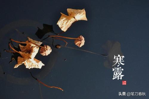 你不得不佩服古人的智慧,二十四节气你不一定知道的常识
