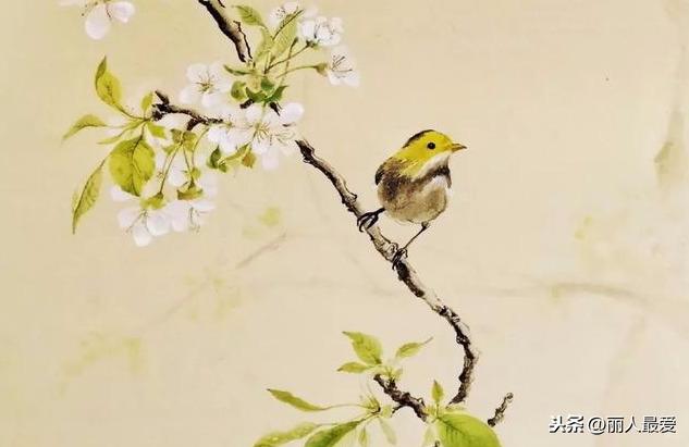 二十四节气含义与来历,孩子都应该知道的常识