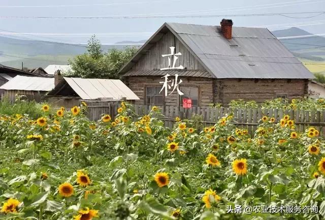 二十四节气农事歌、农业人必备常识