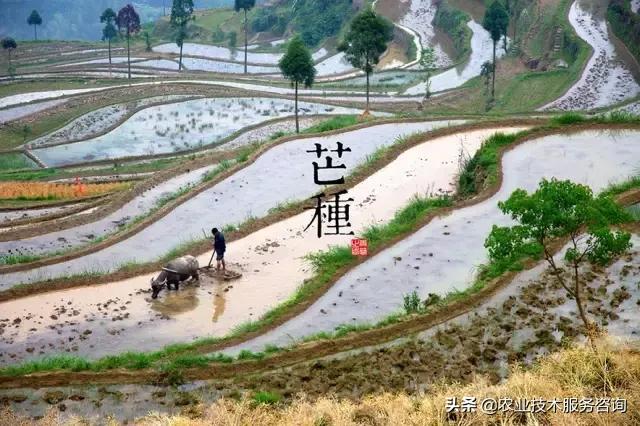 二十四节气农事歌、农业人必备常识