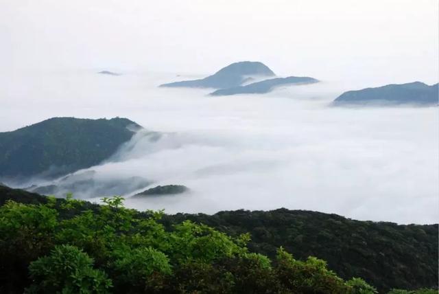 大隐隐于群山——广东第一峰，看最美云海，堪称人间仙境