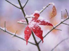 “初雪”是什么意思