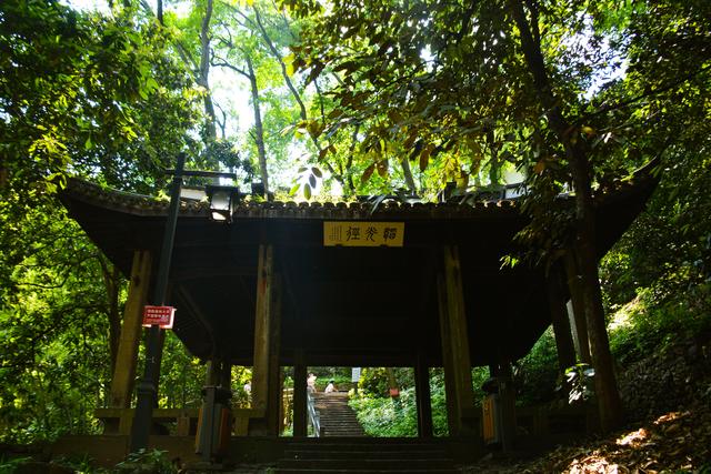杭州灵隐寺人满为患?背后两座千年古寺才是清净地,却游客稀少