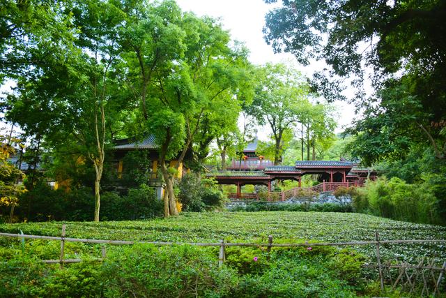 杭州灵隐寺人满为患?背后两座千年古寺才是清净地,却游客稀少