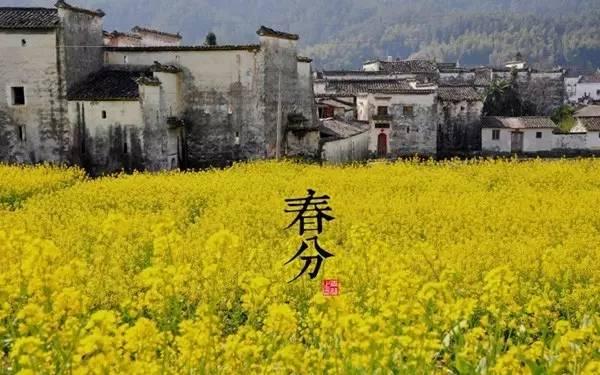 春分时节,这些知识,你不得不知道?
