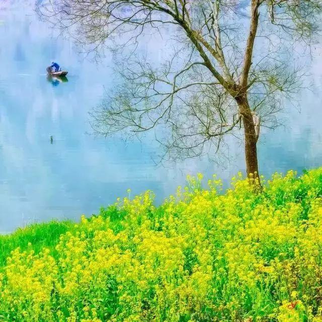春分时节,这些知识,你不得不知道?