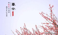 今年春分节气是在哪一天