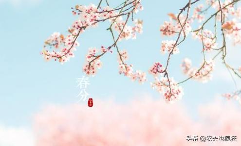 今年春分节气是在哪一天?春分的“分”又是什么意思?涨知识!
