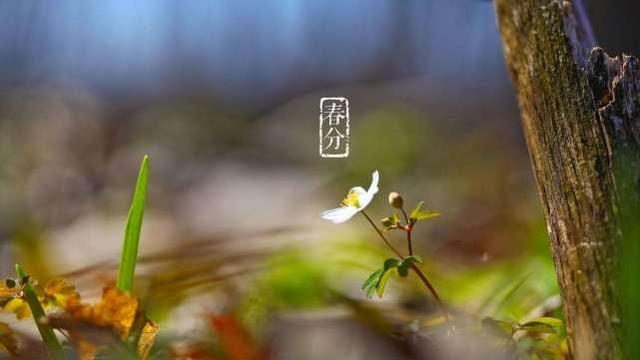 涨知识:中国的传统节日-春分 中国人必须了解