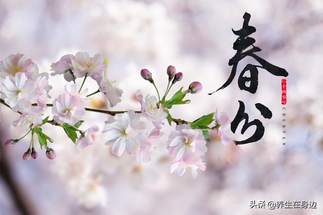 春风十里,桃红柳绿,春分养生的常识,你知道多少?