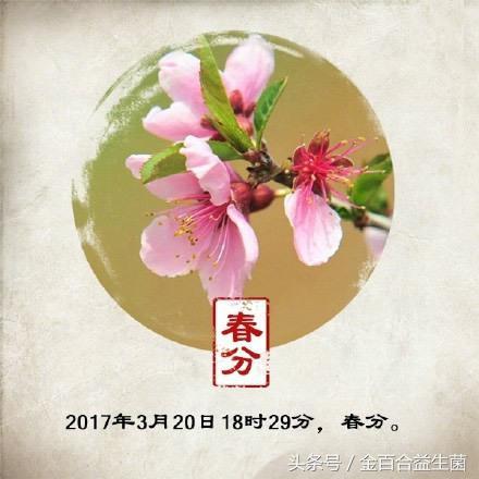 今日春分！春分节气的几点健康知识，你应该知道！