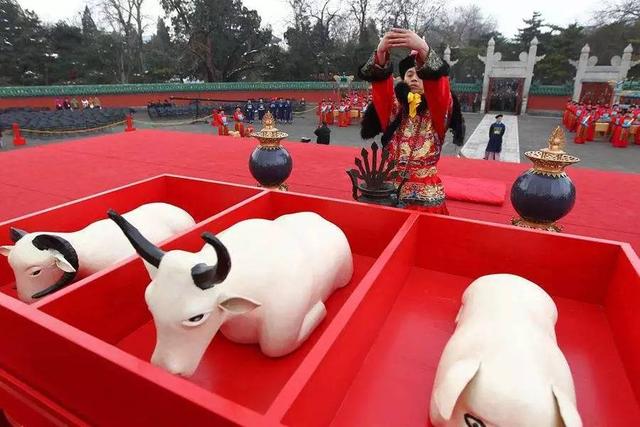 今日春分|这些习俗和养生知识你都知道吗?!