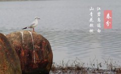 春分节气到来，这天都有