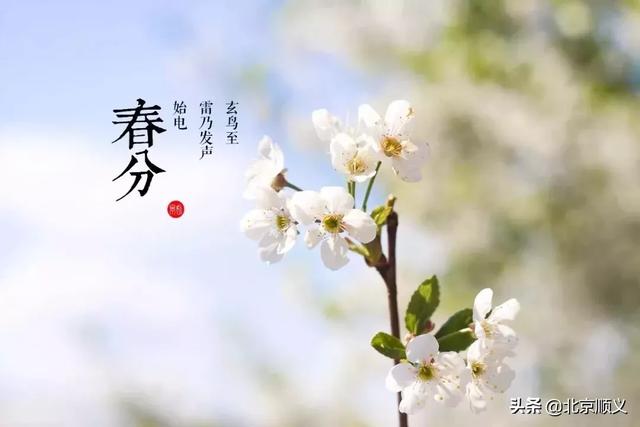 今日春分,这些养生保健知识您需了解!