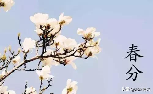 今日春分,这些养生保健知识您需了解!