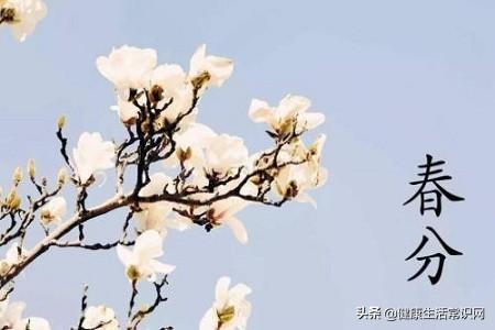 春分:3月的风,吹绿大地