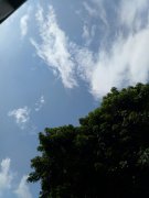 “气象美”指的是什么