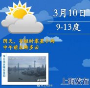 今天魔都阴天,有短时零星