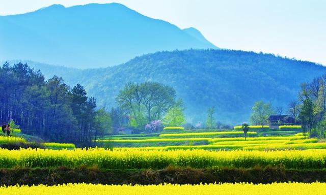 盘点15大油菜花海,做好收藏,来年一起自驾游