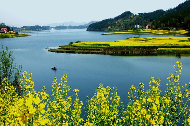 盘点15大油菜花海,做好收藏,来年一起自驾游