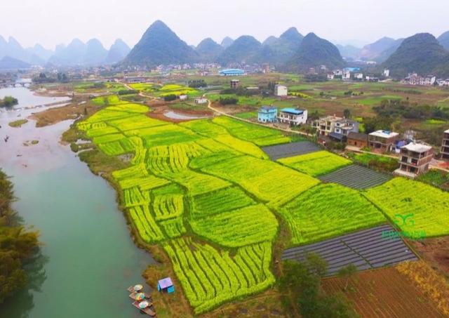 盘点15大油菜花海,做好收藏,来年一起自驾游