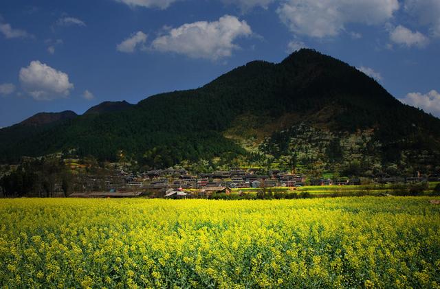 盘点15大油菜花海,做好收藏,来年一起自驾游