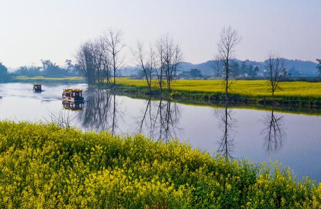 盘点15大油菜花海,做好收藏,来年一起自驾游