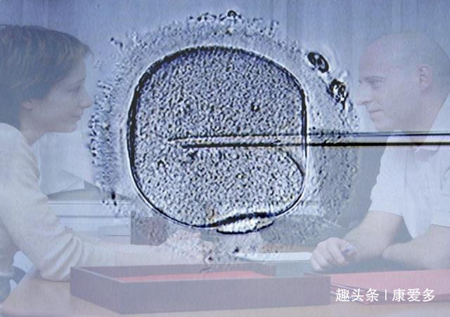 精子有时也会捉迷藏，揭秘“隐匿精子症”，把“隐身”精子找出来