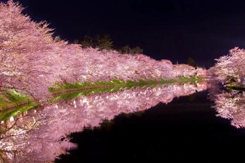 等疫情结束！一定要去奈良吉野山赏樱！万株樱是日本第一赏樱名所