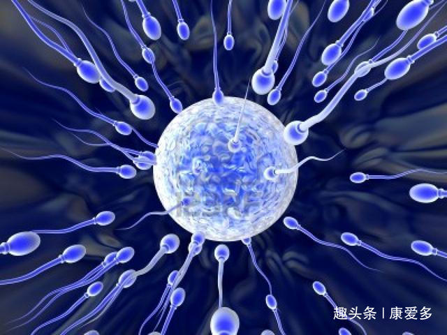 您了解精液检查么？花1分钟了解精液检验，明白精子的“色香味”