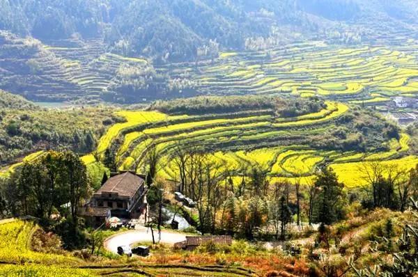 国内3月去哪旅游好 看中国最美的梯田