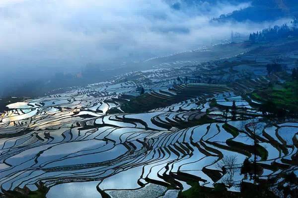 国内3月去哪旅游好 看中国最美的梯田