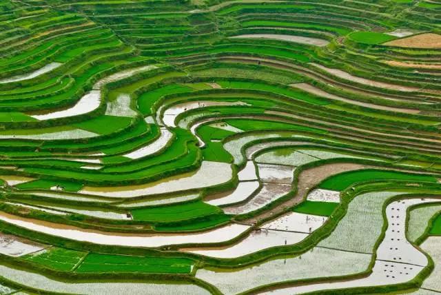 国内3月去哪旅游好 看中国最美的梯田
