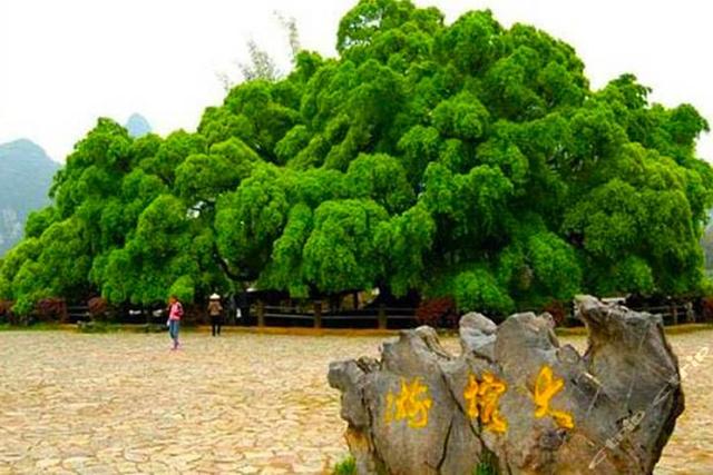 广西一定要去的21大旅游景点