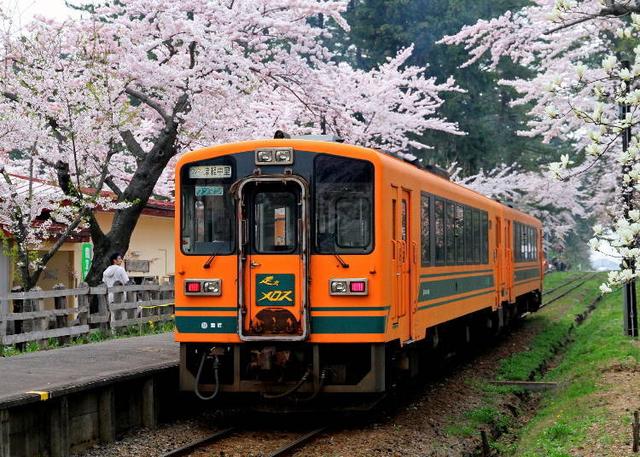 日本东北的最佳赏花季节是何时?日本・东北地区人气赏花景点10选
