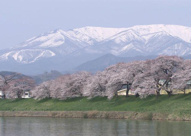 日本东北的最佳赏花季节是何时?日本・东北地区人气赏花景点10选
