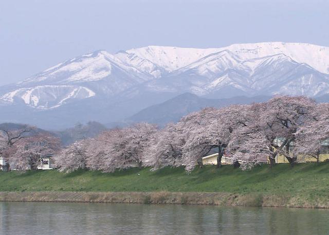 日本东北的最佳赏花季节是何时？日本・东北地区人气赏花景点10选