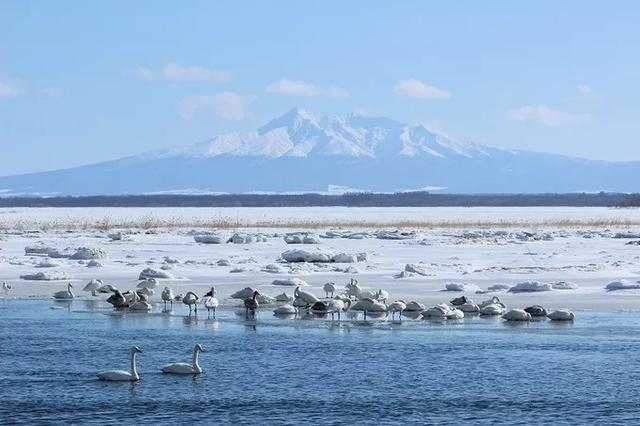 比小樽还美的北海道秘境!这里才是日本人心中NO.1的小众度假地