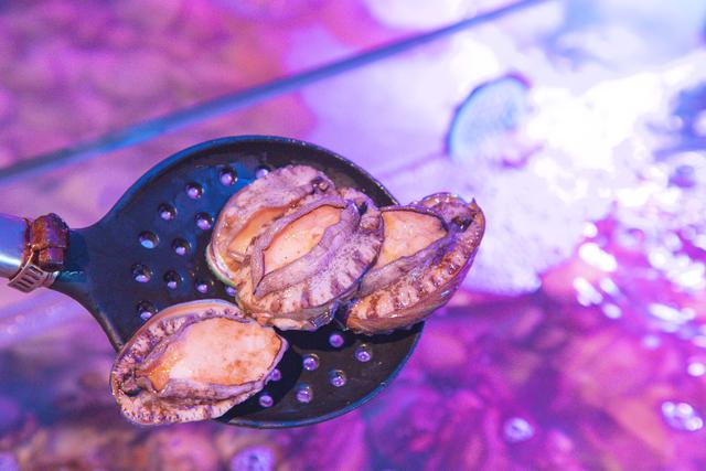 美景美食不可辜负,三亚可以边吃海鲜边欣赏大东海的落日餐厅