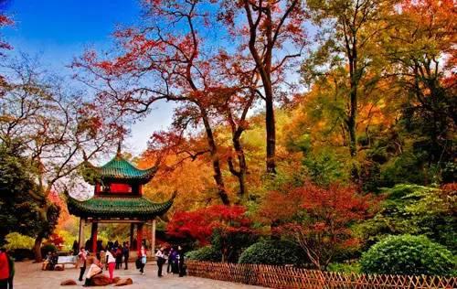 长沙旅游攻略,长沙本地人都推荐去的几个经典景点,赶紧收藏