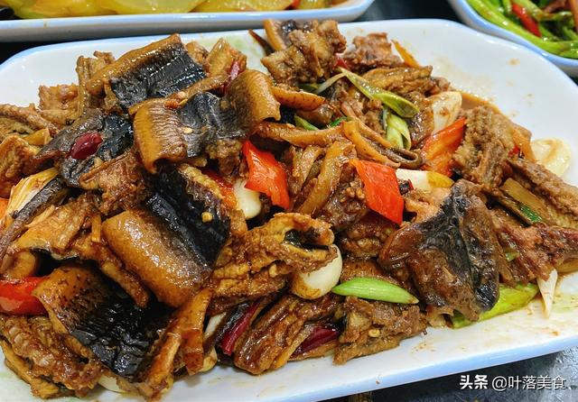 吃饭没胃口,试试这3道开胃菜,香辣爽口麻辣鲜香,好吃又下饭