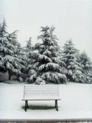 二十四节气——“大雪”