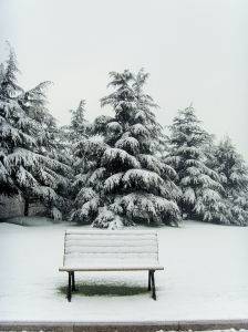 详解二十四节气——“大雪”-图1