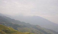 2017年三伏贴时间表